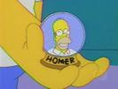 Hungry, Hungry Homer