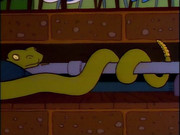 Simpsons floorboards: A snake